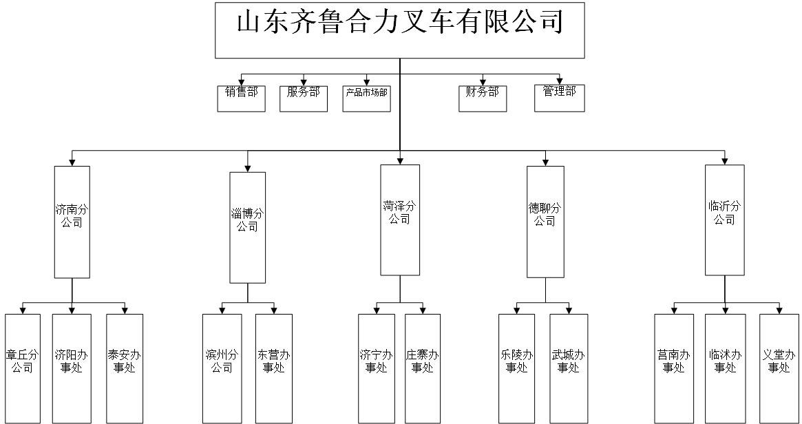 齐鲁pg电子游戏组织机构图.jpg